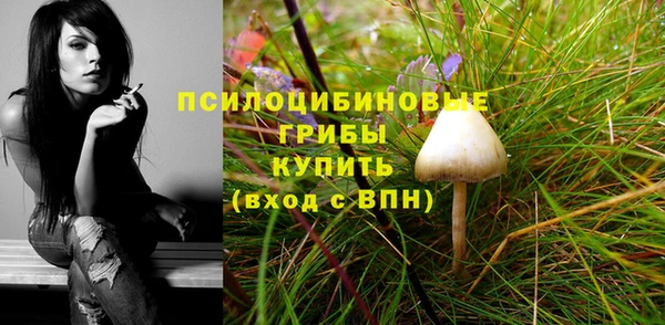 jwh Аркадак