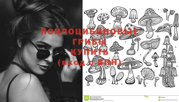 jwh Аркадак