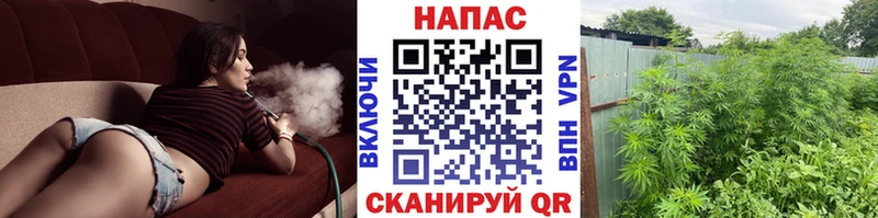 Бошки Шишки AK-47 дарнет шоп Гремячинск